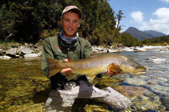 Big Brown
