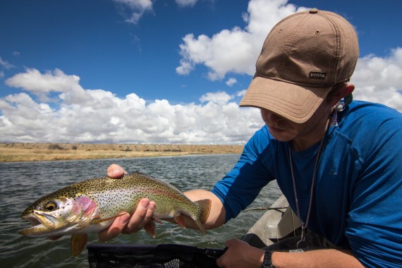 Josh Gallivan Fly Fishing