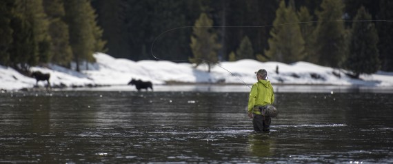 Josh - Fly Fishing - Moose - 3