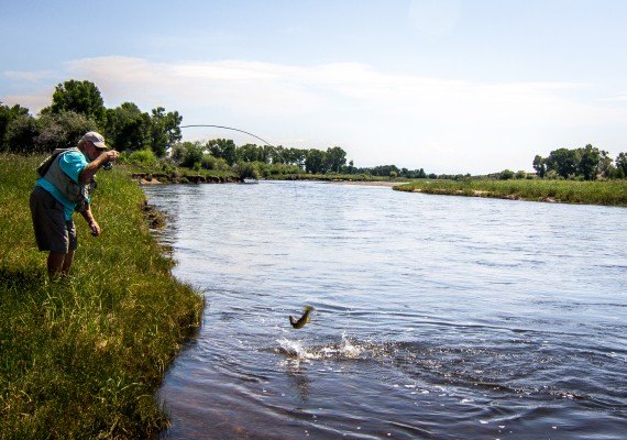 Josh Gallivan Fly Fishing