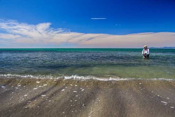 Josh Gallivan Fly Fishing