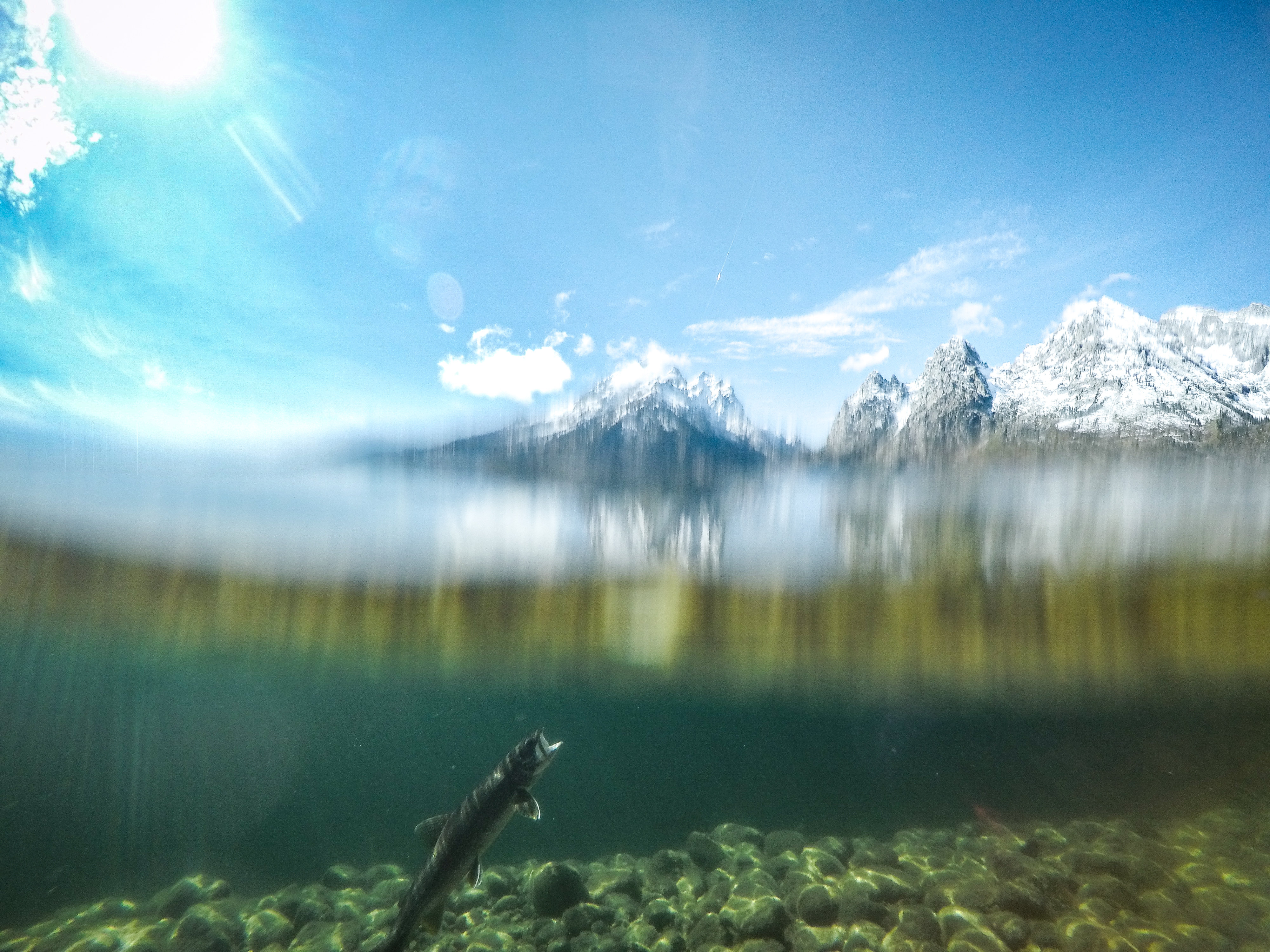 Josh Gallivan Fly Fishing