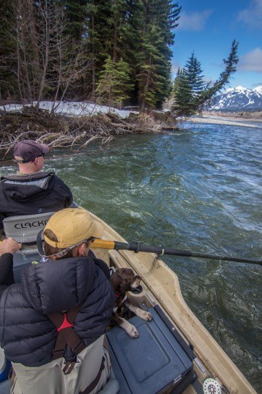 Josh Gallivan Fly Fishing